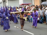 P1300781-550