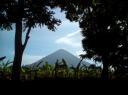 DSC00072-550