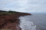 Beach Cavendish