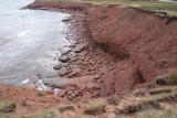 Beach Cavendish