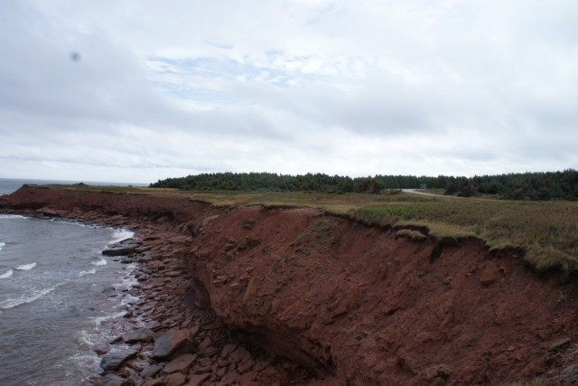 Beach Cavendish
