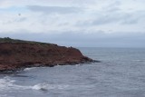 Beach Cavendish