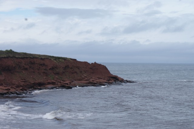 Beach Cavendish