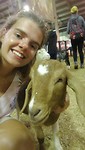 Great Easter Show