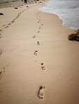 Maroubra beach