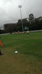 AFL