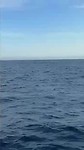 VID-20190701-WA0011