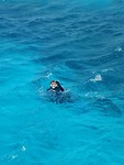 Snorkelen in Great Barrier Reef