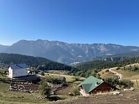 IMG_7156