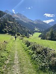 Beautiful green fields in the Alps on the path to Bourg Saint Pierre