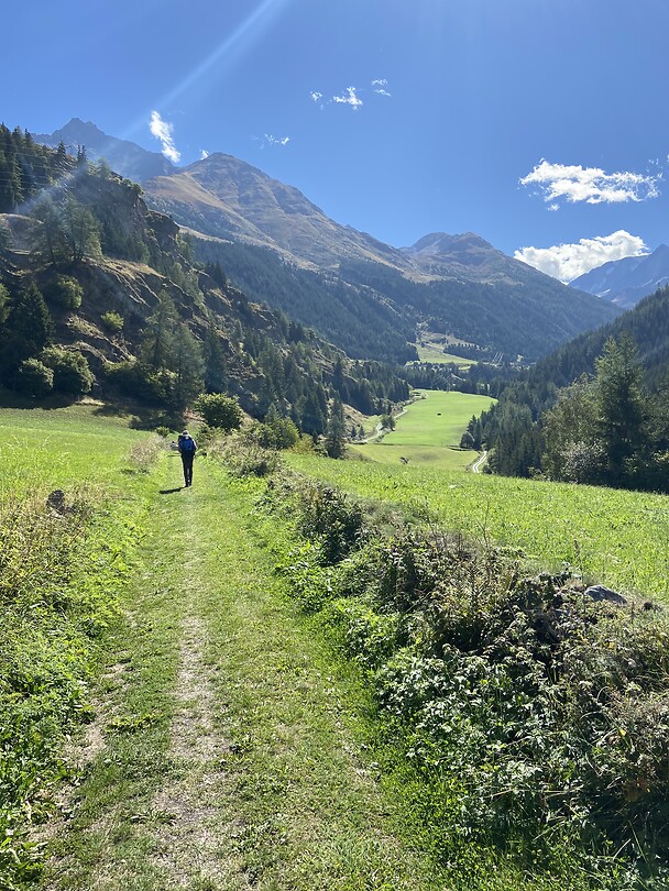 Beautiful green fields in the Alps on the path to Bourg Saint Pierre