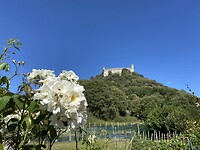 Montalto Dora