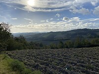 Fields of clay on the hill sides near Salsomaggiore