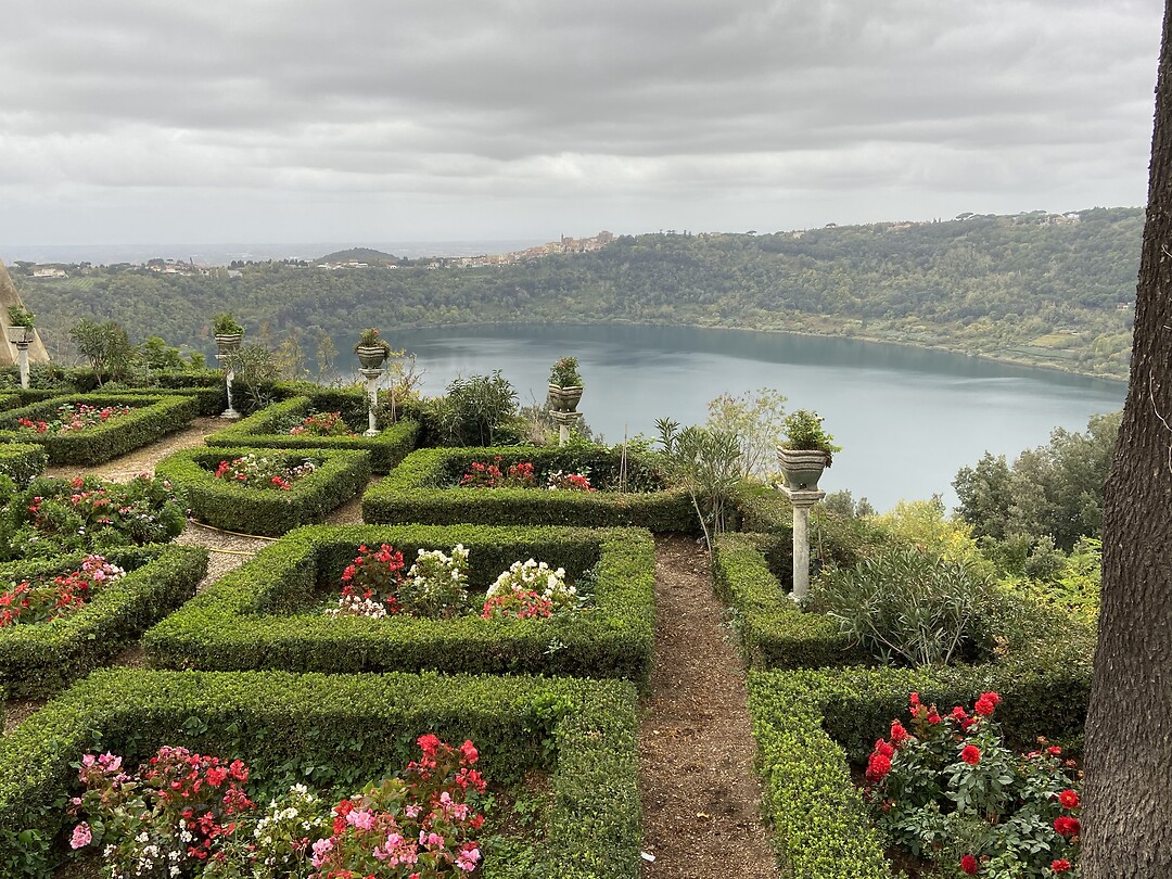 Nice garden