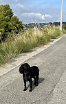 On the road from Itri to Geata
