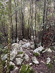 Path down the slope