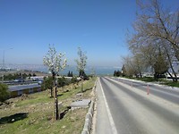 IMG_20170414_114021