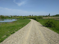 IMG_20170428_111858