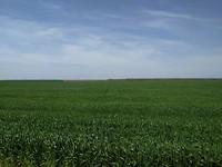IMG_20170428_132325
