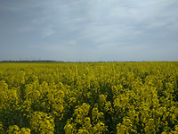 IMG_20170428_145159