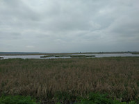 IMG_20170430_131411