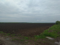 IMG_20170430_135754