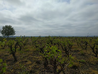 IMG_20170501_112147