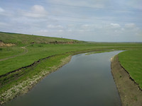 IMG_20170501_124558