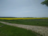 IMG_20170502_143638