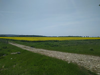 IMG_20170502_143642