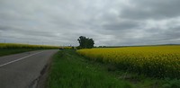 PANO_20170501_104041