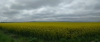 PANO_20170501_104054