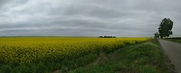PANO_20170501_104110