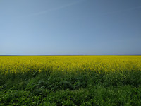 IMG_20170503_111510