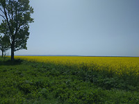 IMG_20170503_111531