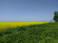 IMG_20170503_111553