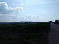 IMG_20170522_152510