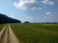 IMG_20170522_154723