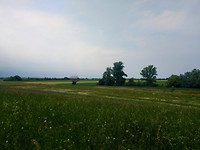 IMG_20170523_122924