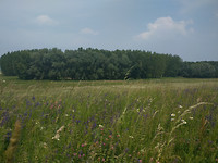 IMG_20170523_133625