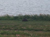 IMG_20170524_101858