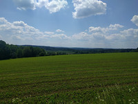 IMG_20170603_124712