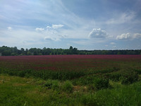 IMG_20170603_144355