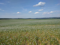 IMG_20170603_173327