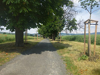 IMG_20170605_123921