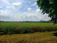 IMG_20170605_123947