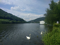IMG_20170605_135618
