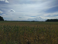 IMG_20170607_160129