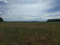 IMG_20170607_160131