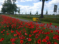 IMG_20170610_144914